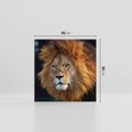 Obraz na płótnie 50x50 - Lew - Król Zwierząt - lew, zwierzęta