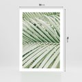 Plakat bez ramy 50x70 - Liście Palmy: Egzotyczna Grafika - palma, liście palmy