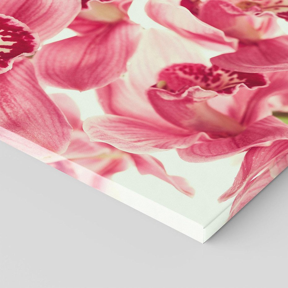 Obraz na płótnie 100x70 - Orchidea - delikatne kwiaty - orchidea, kwiaty