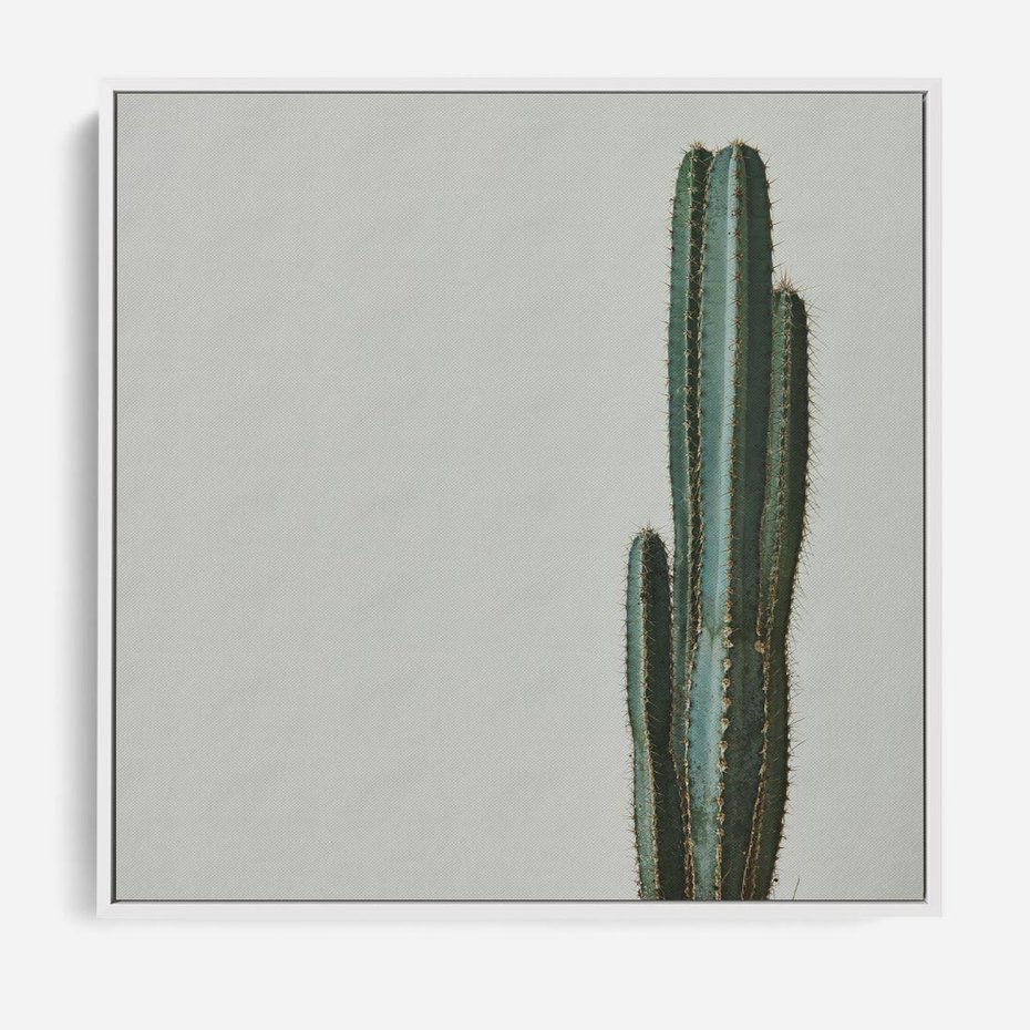 Obraz w ramie 80x80 - Zieleń i Subtelność - kaktusy, liście - rama biała