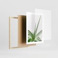 Plakat w ramie 30x40 - Zielone Piękno - aloes, liście - rama drewno