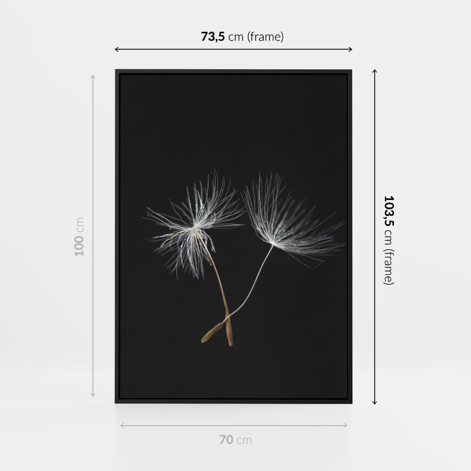 Obraz w ramie 70x100 - Delikatność Wiatru - dmuchawce, makro - rama czarna