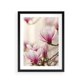 Plakat w ramie 30x40 - Urok Magnolii - magnolie, kwiaty - rama czarna