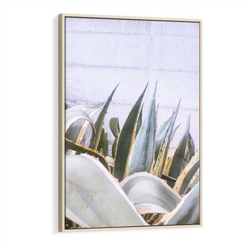 Obraz w ramie 80x120 - Sukulentowe liście - liście, sukulenty - rama drewno