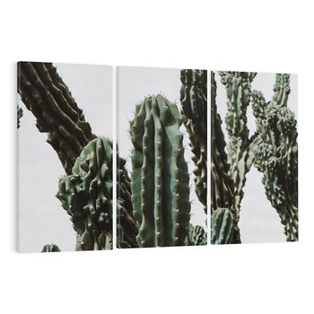 Obraz na płótnie 120x80 - Boho oaza wśród kaktusów - kaktusy, pustynia