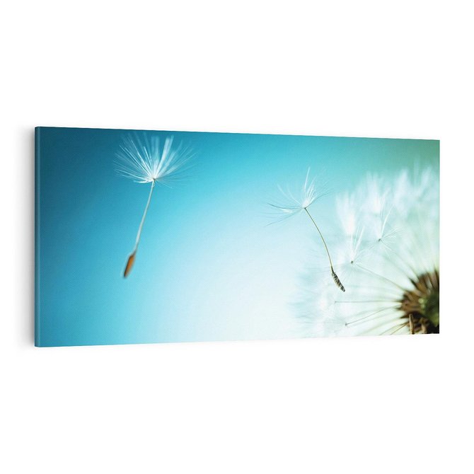 Obraz na płótnie 100x50 - Lekkość i Przemijanie - dmuchawiec, wiatr