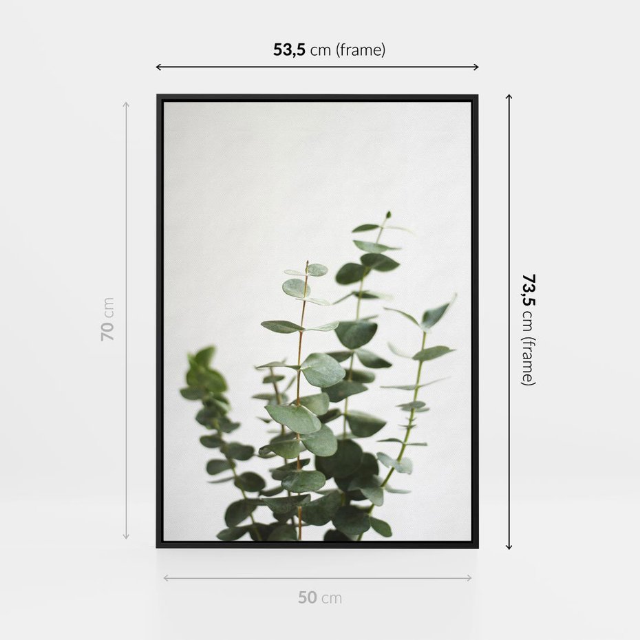 Obraz w ramie 50x70 - Żywa eukaliptusowa zieleń - eukaliptus, zielone - rama czarna