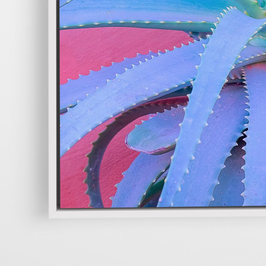 Obraz w ramie 80x120 - Piękno Pustyni - kaktusy, liście - rama biała