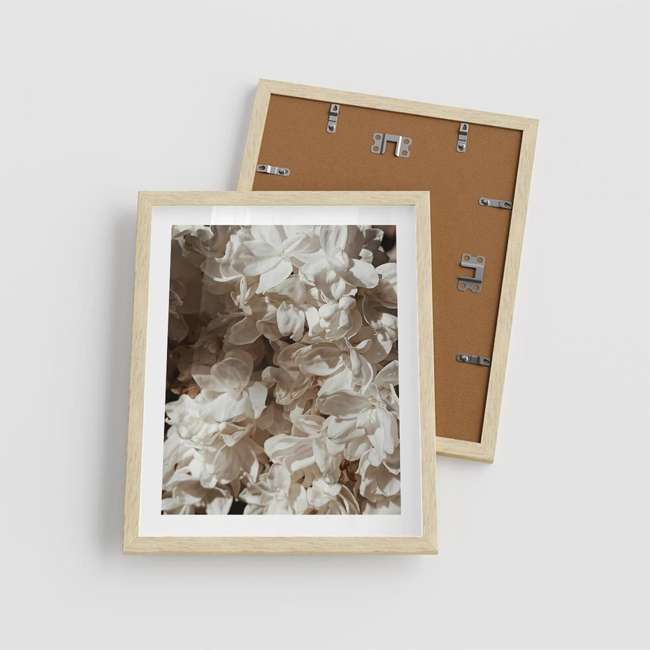 Plakat w ramie 40x50 - Płatki w Detalu - białe kwiaty, zbliżenie - rama drewno