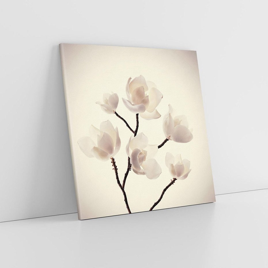Obraz na płótnie 70x70 - Elegancja Natury - magnolia, białe