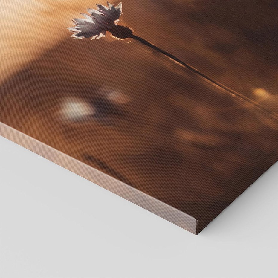 Obraz na płótnie 60x60 - Spokój łąki pod zachodem słońca - zachód, słońca