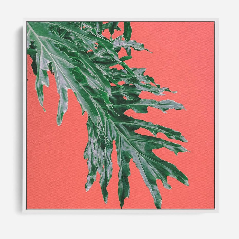 Obraz w ramie 50x50 - Energetyczna Eksplozja Natury - liście, kolor - rama biała