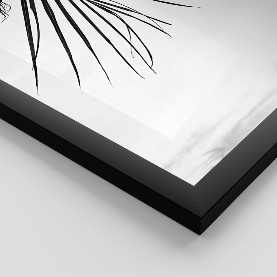 Zestaw obrazy w ramie 50x70 galeria - Palmy, czarno, biały, minimalizm - rama czarna