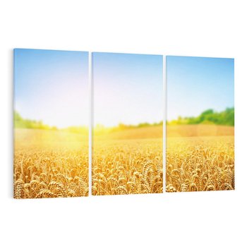 Obraz na płótnie 120x80 - Żyzne Pola - pole, pszenicy