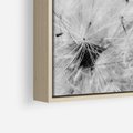 Obraz w ramie 100x70 - Zdmuchnięty Puch - dmuchawce, delikatne - rama drewno