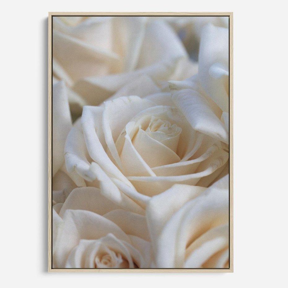 Obraz w ramie 70x100 - Białe róże piękności - białe, róże - rama drewno