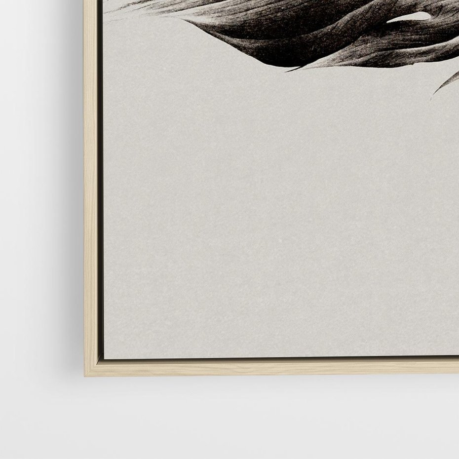 Obraz w ramie 50x50 - Szepczący Liść - szkic, czarno biały - rama drewno