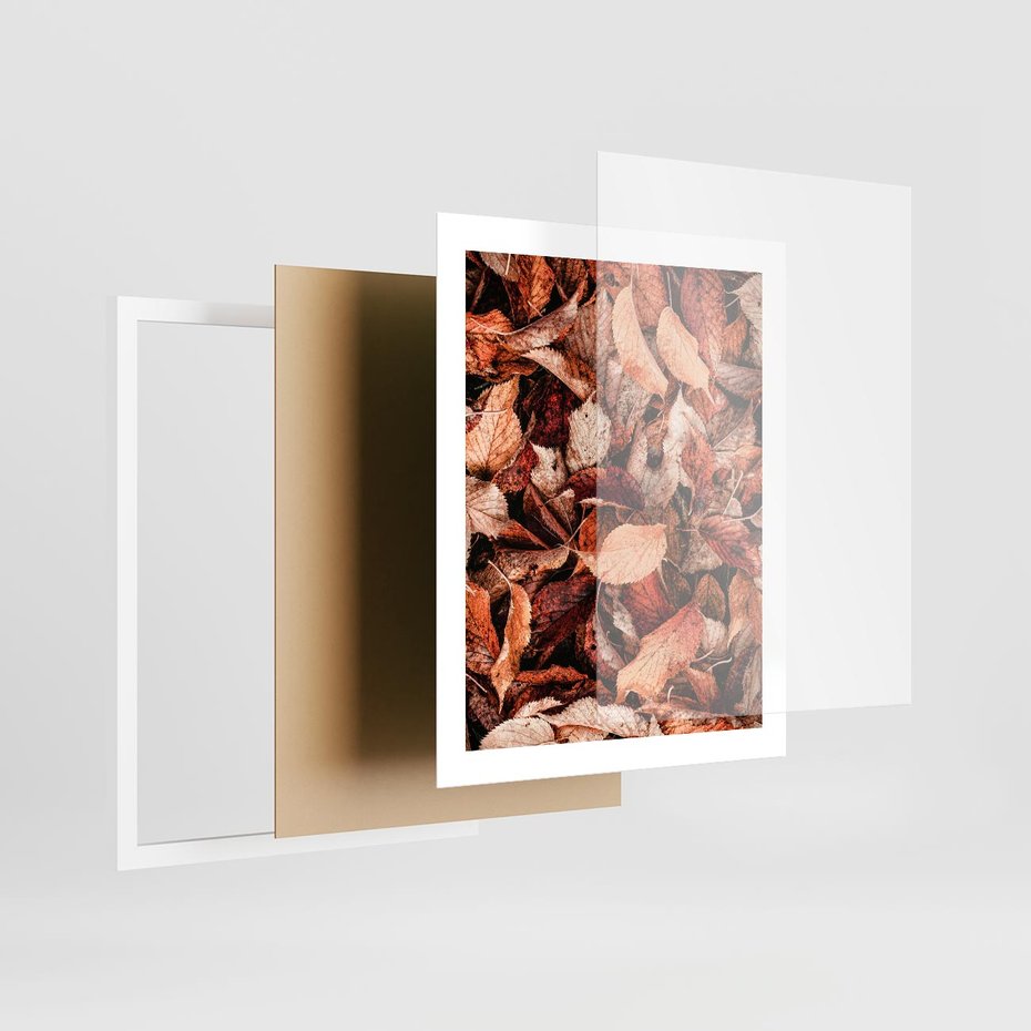 Plakat w ramie 40x50 - Magia Jesiennej Ziemi - liście, jesień - rama biała