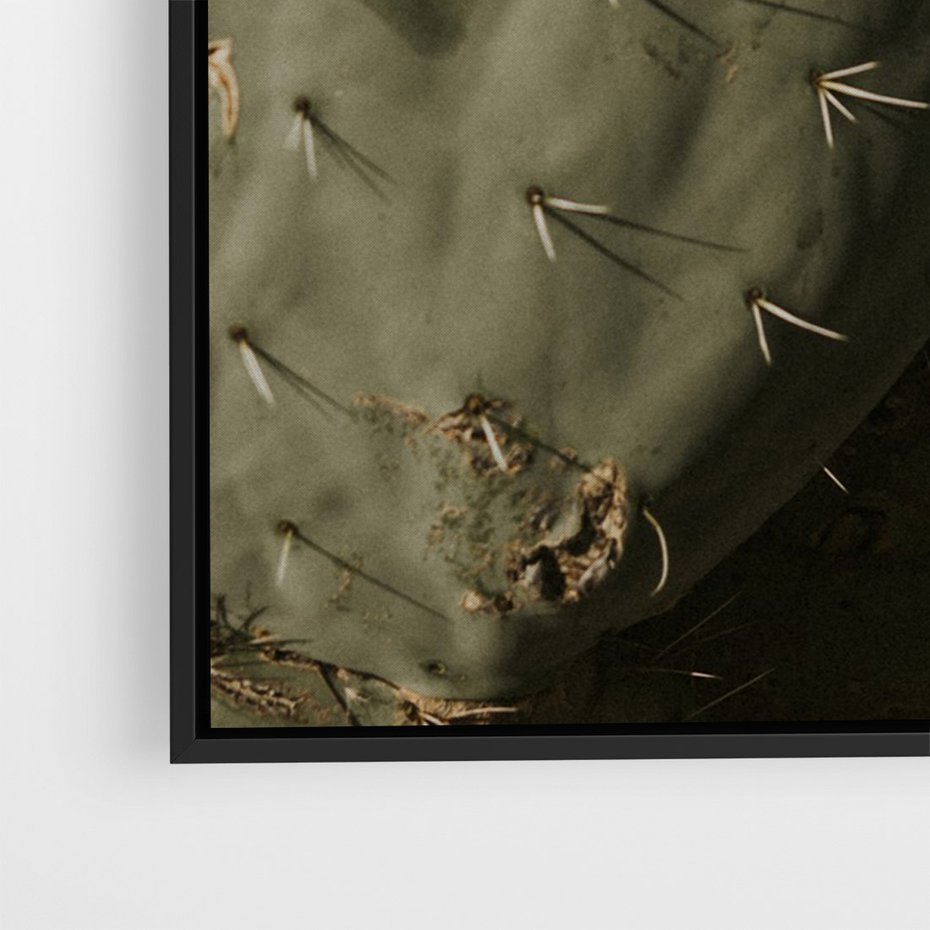 Obraz w ramie 50x70 - Urok Egzotyki - kaktusy, boho - rama czarna