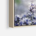 Obraz w ramie 80x80 - Delikatna Uroda Natury - wrzosy, fiolet - rama drewno
