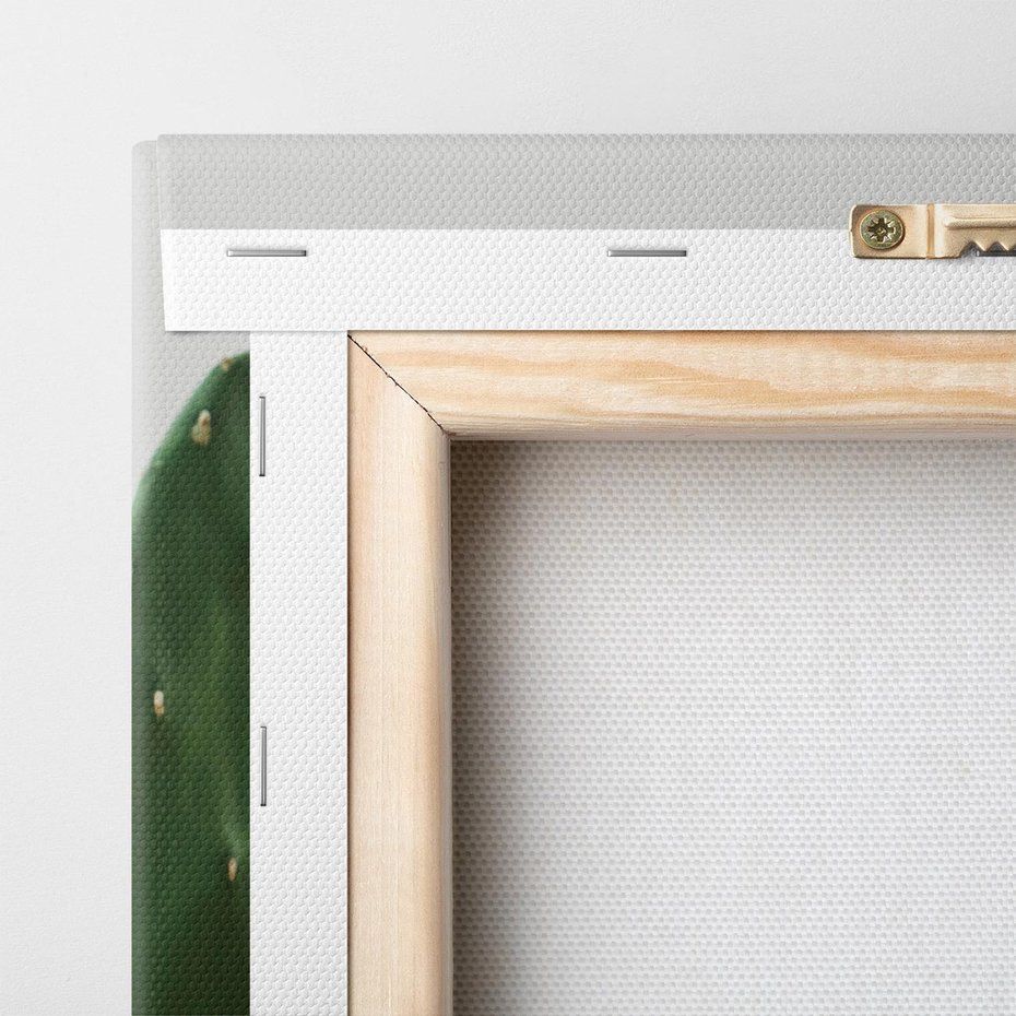 Obraz na płótnie 70x100 - Majestatyczne Wysokości - kaktusy, liście