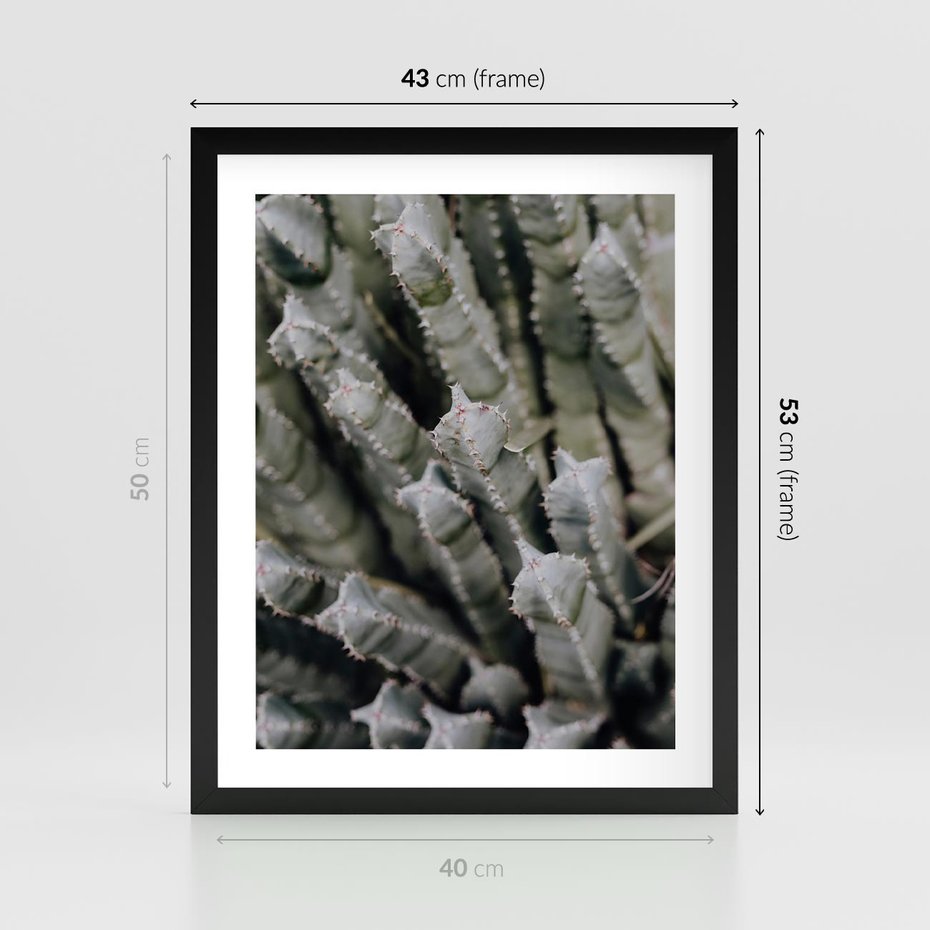 Plakat w ramie 40x50 - Oaza Natury - sukulenty, kaktusy - rama czarna