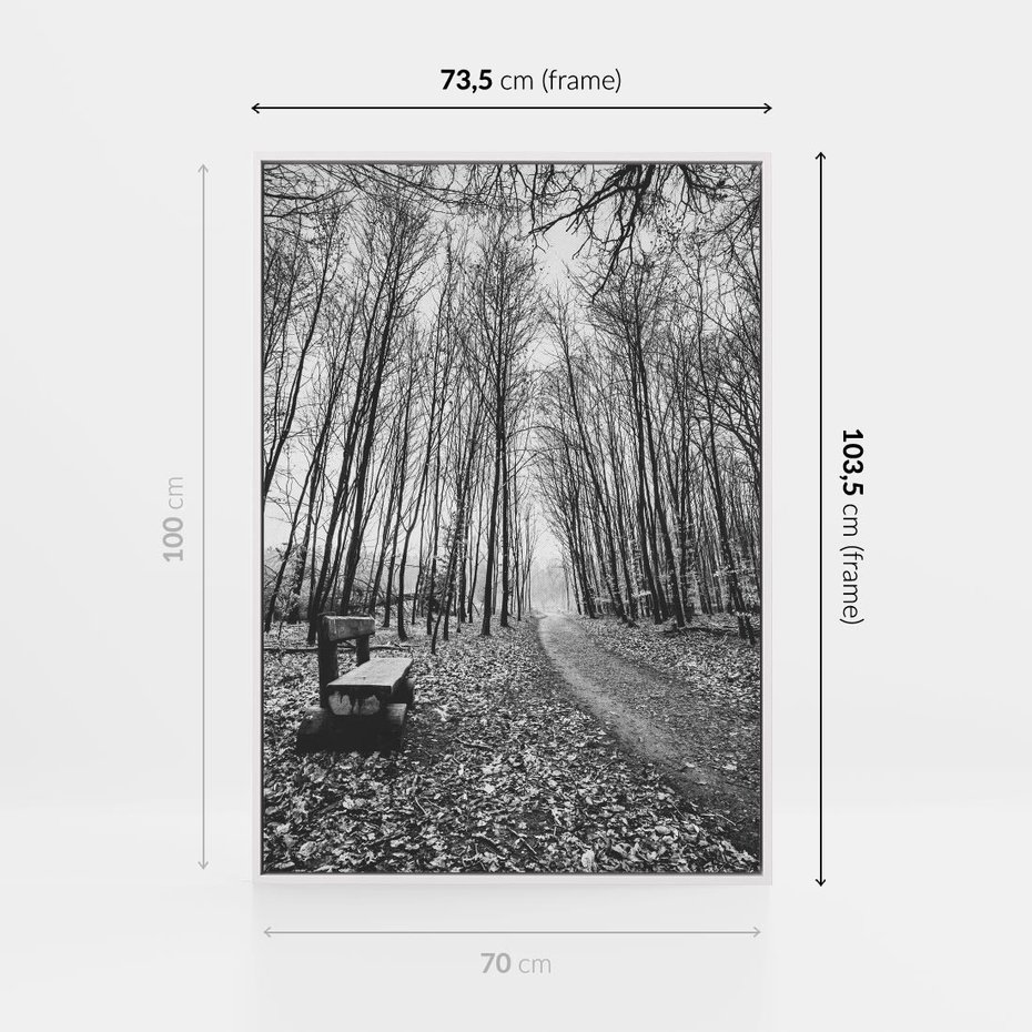 Obraz w ramie 70x100 - Spadające Liście - czarno białe zdjecie, park - rama biała