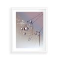 Plakat w ramie 40x50 - Delikatne Natchnienie - krople, dmuchawce - rama biała