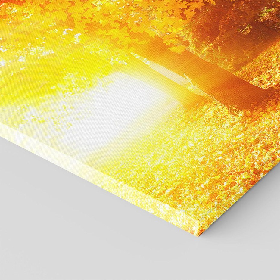 Obraz na płótnie 100x70 - Magia jesiennego lasu - las, drzewa