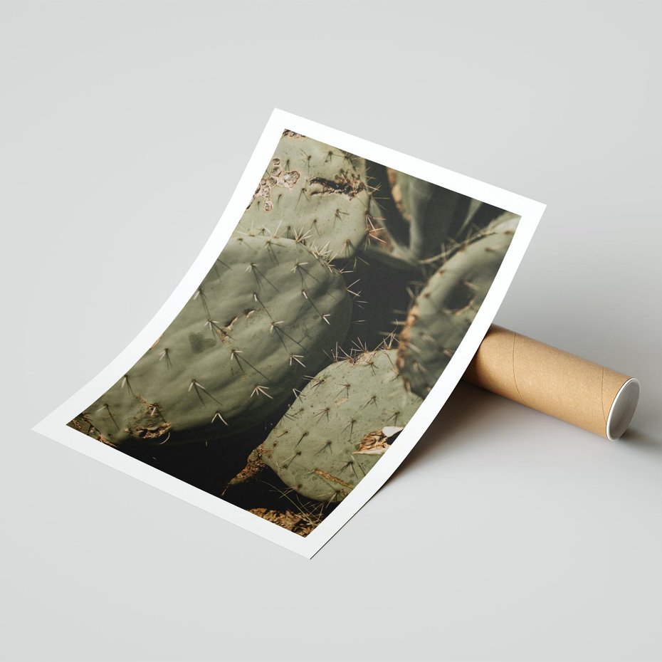 Plakat bez ramy 40x50 - Urok Egzotyki - kaktusy, boho