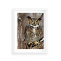 Plakat w ramie 30x40 - Tajemniczy Stróż - sowa, las - rama biała