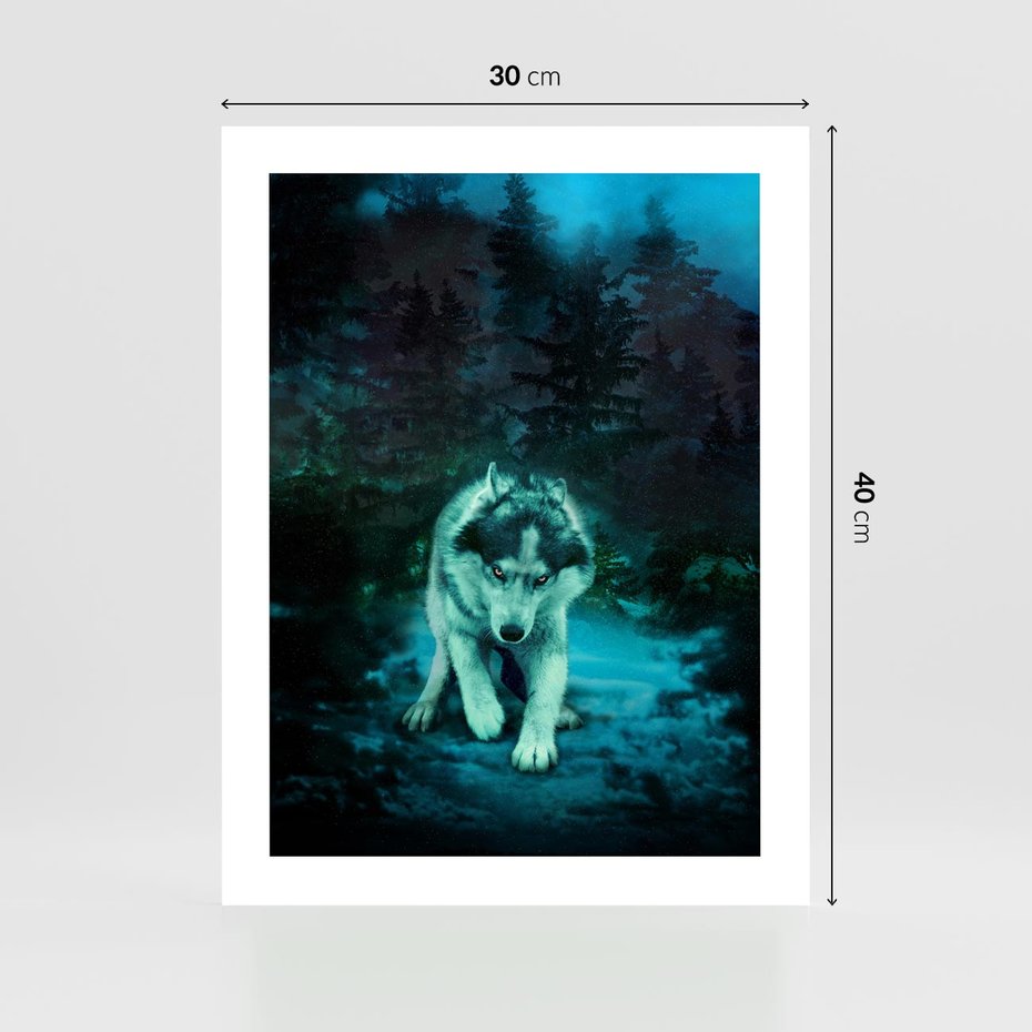 Plakat bez ramy 30x40 - Siła i wdzięk natury - wilk, husky