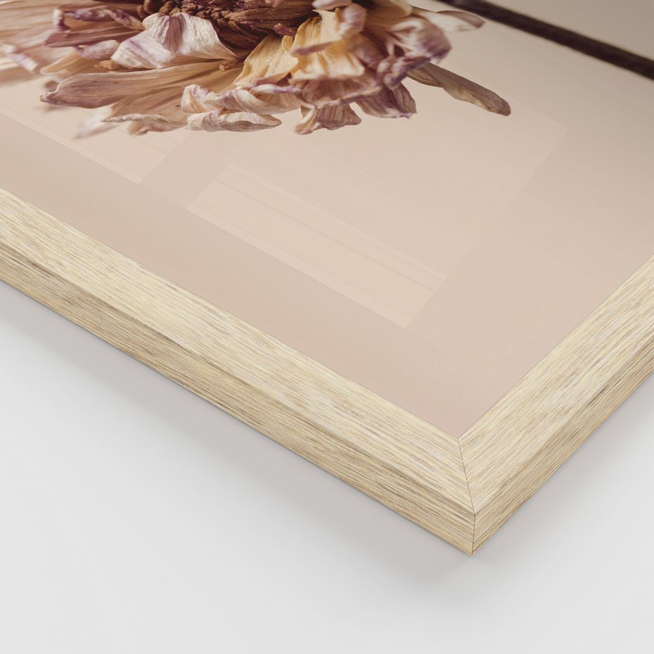 Zestaw obrazy w ramie 40x50 galeria - Suche, kwiaty, boho, minimalizm, płatki - rama drewno