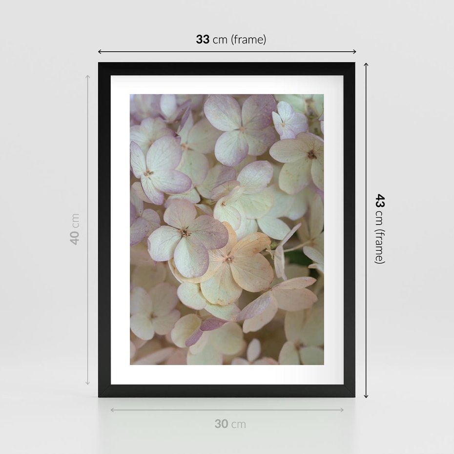Plakat w ramie 30x40 - Kwiatowy taniec - kwiaty, hortensje - rama czarna