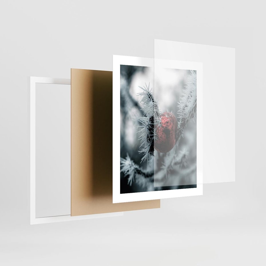 Plakat w ramie 40x50 - Chwila Zimowego Uroku - zima, ośnieżona gałązka - rama biała