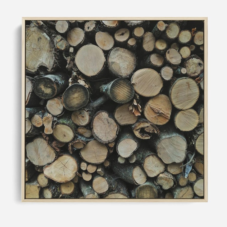 Obraz w ramie 50x50 - Bliskość Natury - drewno, las - rama drewno