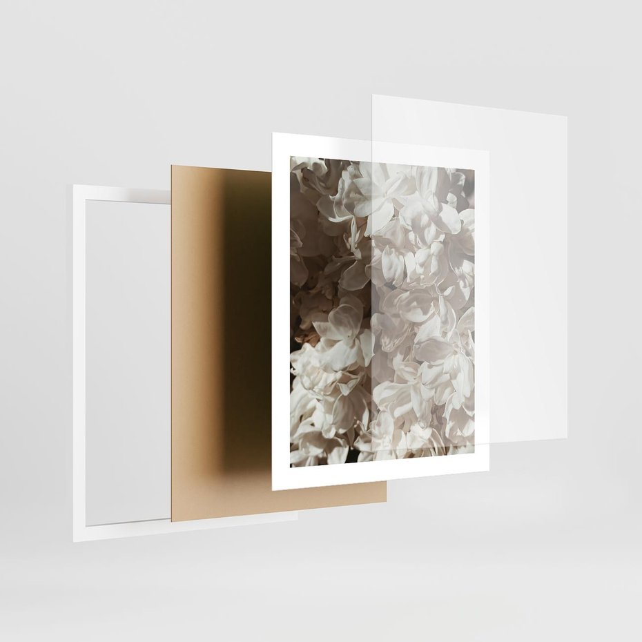 Plakat w ramie 40x50 - Płatki w Detalu - białe kwiaty, zbliżenie - rama biała