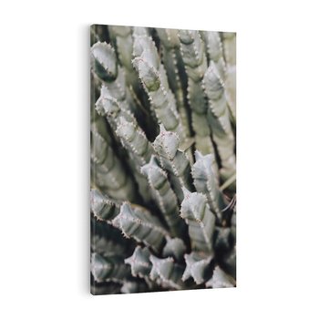 Obraz na płótnie 70x100 - Boho kaktusy na pustyni - kaktusy, pustynia