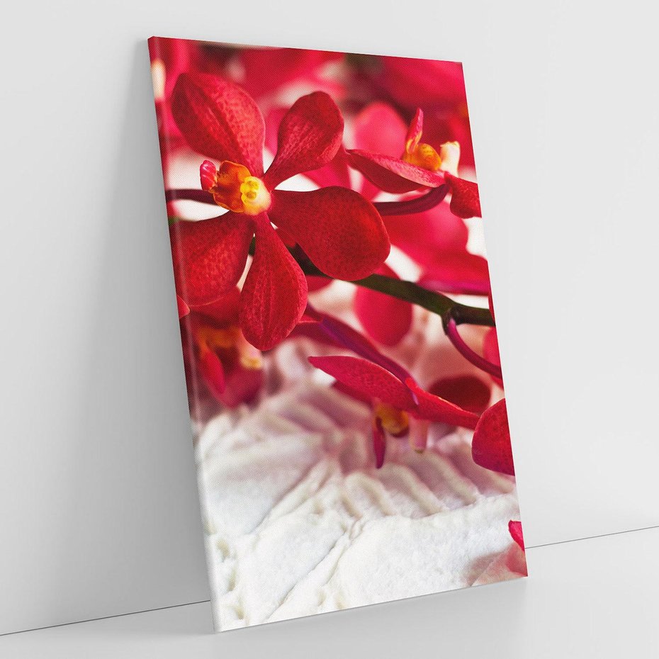 Obraz na płótnie 70x100 - Delikatność Kwiatowej Elegancji - orchidea, kwiat