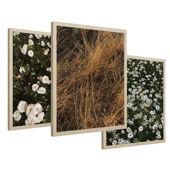Zestaw obrazy w ramie 30x40 galeria - Boho, kwiaty, suche, trawy - rama drewno