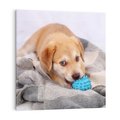 Obraz na płótnie 50x50 - Radość w zabawie: Piesek jako najlepszy przyjaciel - pies, piesek