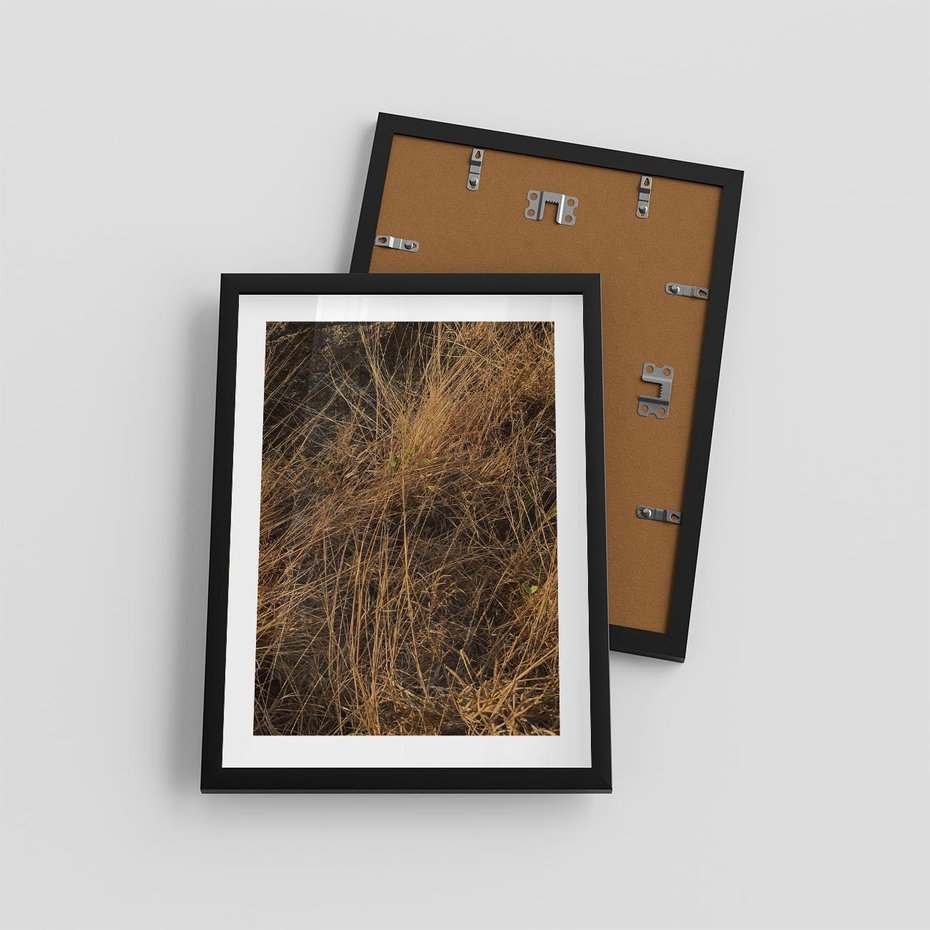 Plakat w ramie 30x40 - Szlachetna Suchość Traw - trawy, suche trawy - rama czarna