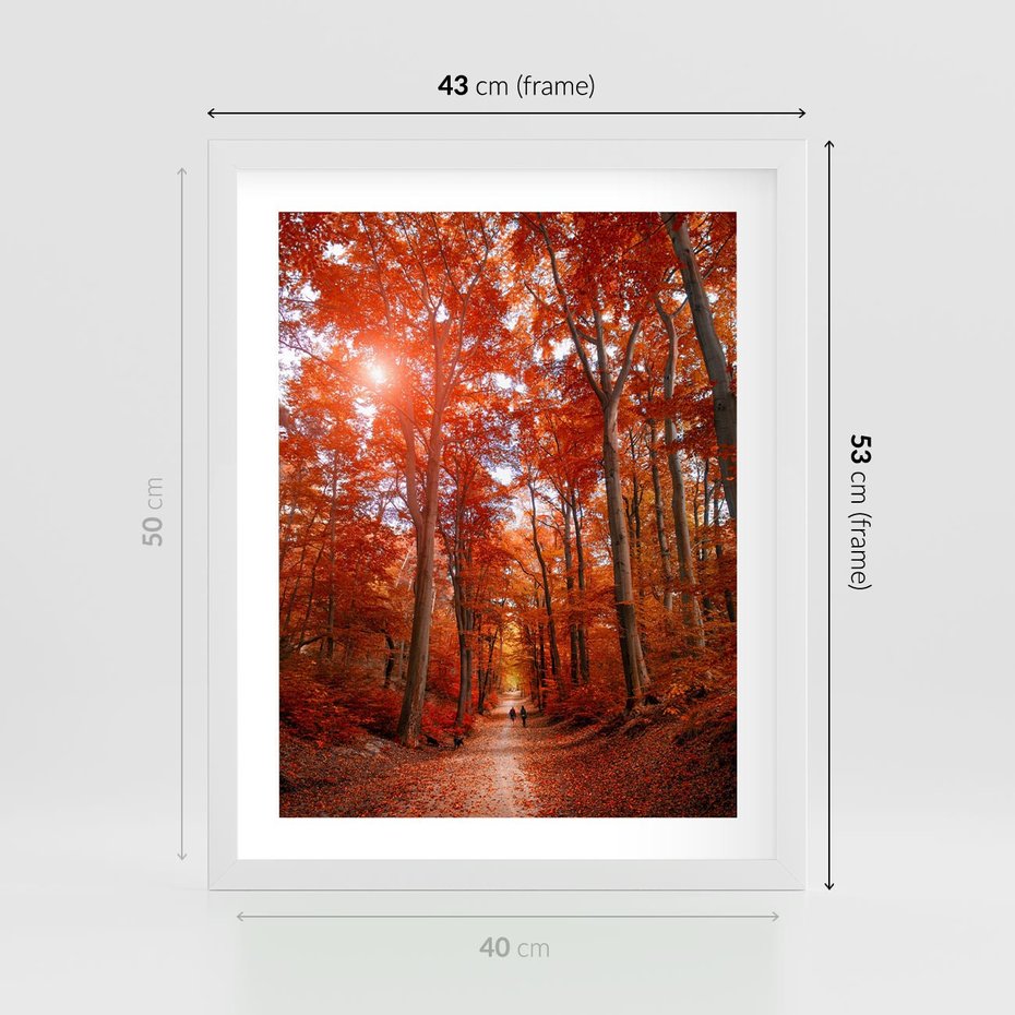 Plakat w ramie 40x50 - Magia jesiennego lasu - las, jesień - rama biała