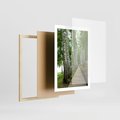 Plakat w ramie 50x70 - Spacer ścieżką przez brzozowy las - las, ścieżka - rama drewno