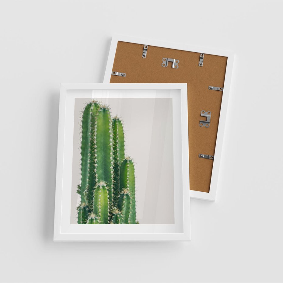 Plakat w ramie 40x50 - Minimalistyczne Kaktusy na Białym Tle - kaktusy, minimalistyczna fotografia - rama biała