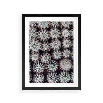 Plakat w ramie 50x70 - Wzór Kaktusów - kaktusy w doniczkach, ujęcie z góry - rama czarna