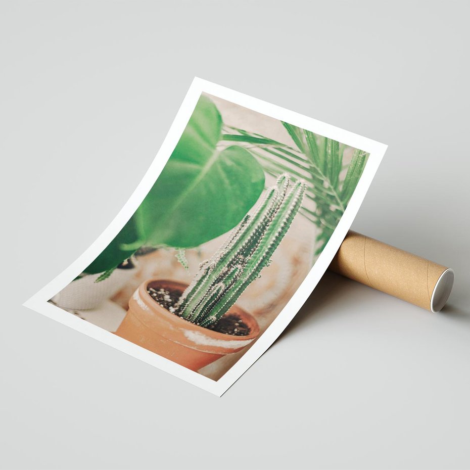 Plakat bez ramy 40x50 - Boho Urok - kaktus w doniczce, gliniana doniczka