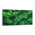 Obraz na płótnie 120x60 - Palma Liście Kwiat - palma, liście