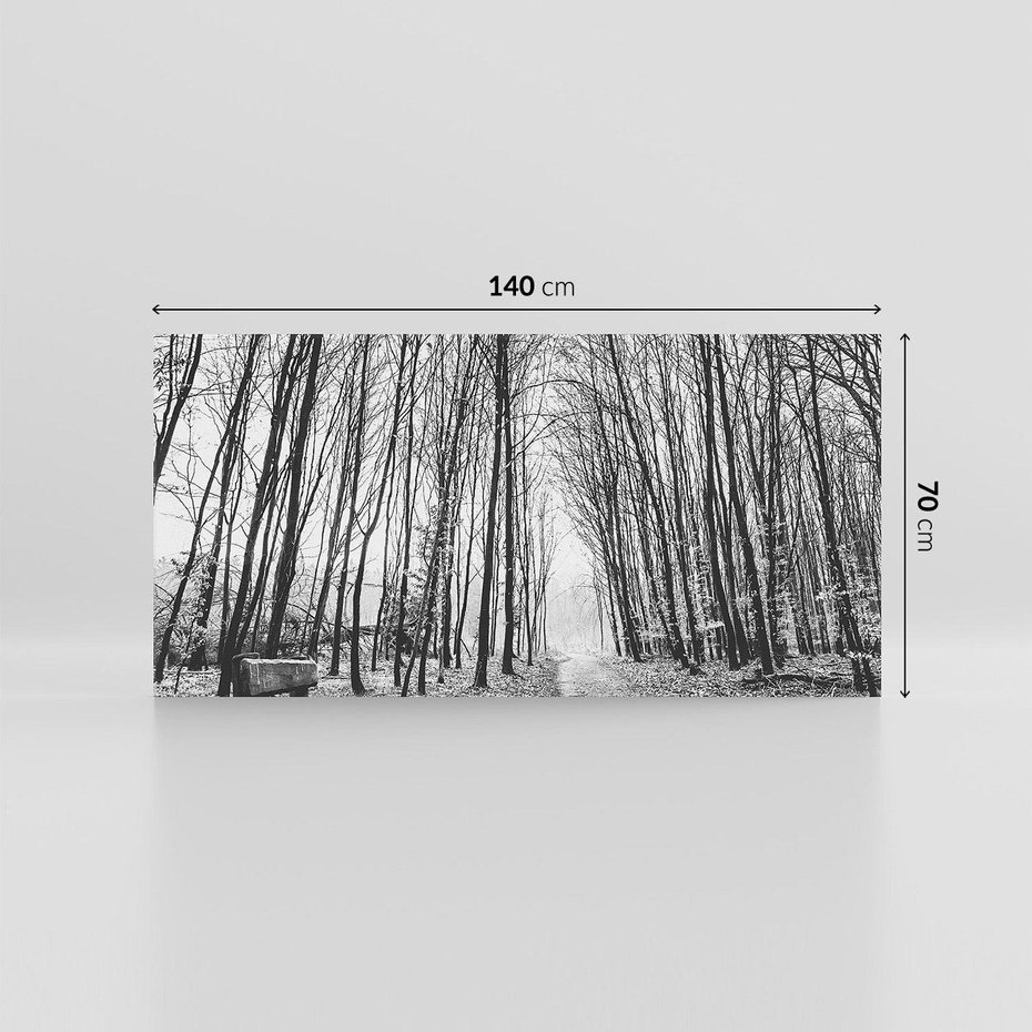 Obraz na płótnie 140x70 - Spadające Liście - czarno białe zdjecie, park