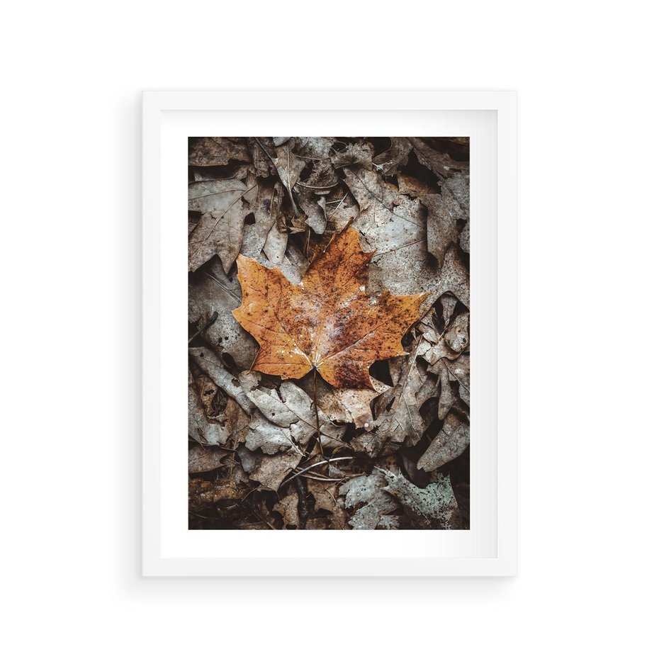 Plakat w ramie 30x40 - Jesienne Czarowanie - suchy liść, żółty - rama biała
